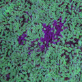 Green Splatter Hammer (2 Heads)