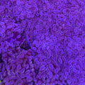 Rose Gold Hammer - Aquacultured LPS Coral | AJ's Aquariums